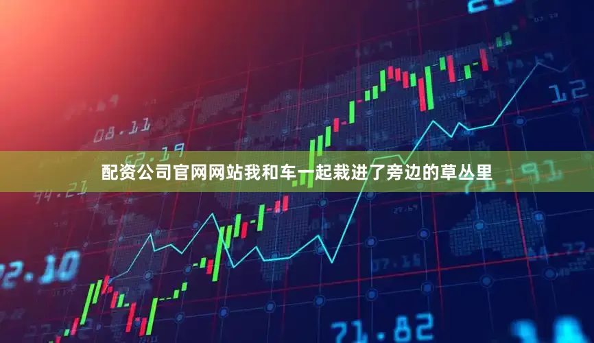 配资公司官网网站我和车一起栽进了旁边的草丛里