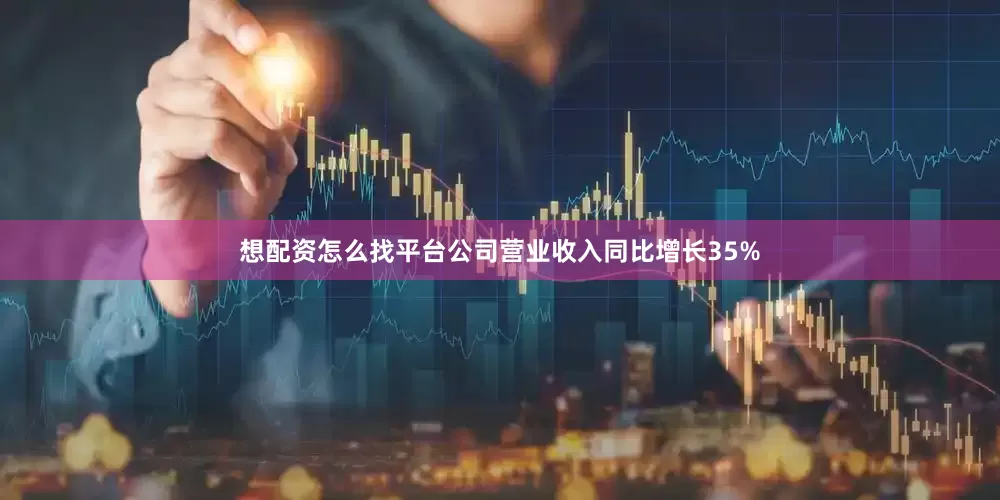 想配资怎么找平台公司营业收入同比增长35%