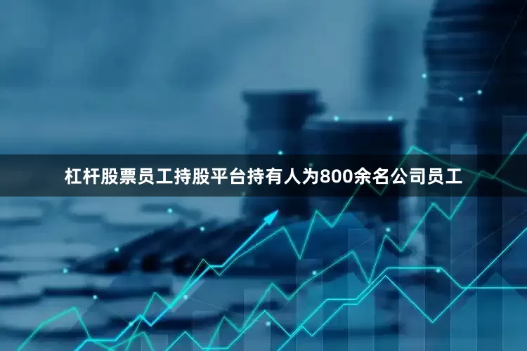 杠杆股票员工持股平台持有人为800余名公司员工